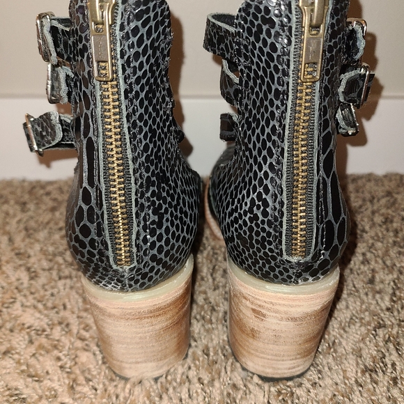 Freebird Randi - Picture 4 of 5